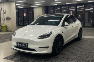 Model 3 特斯拉 改款 Performance高性能全輪驅(qū)動(dòng)版