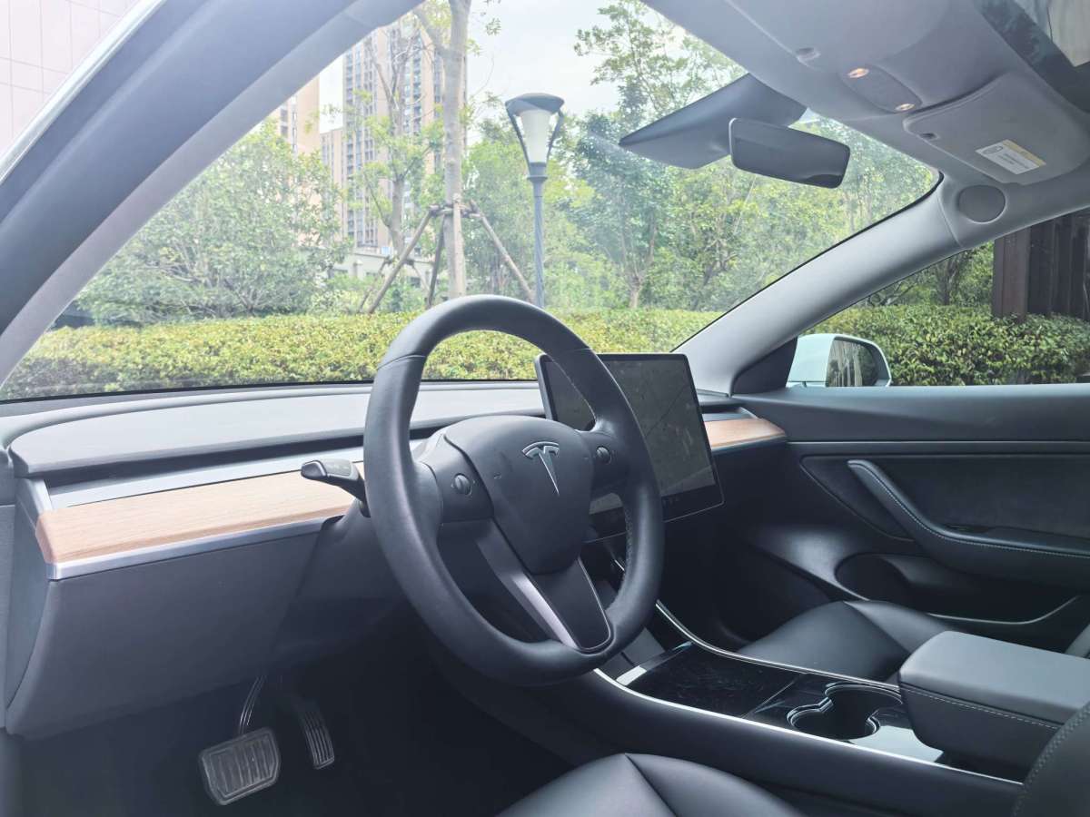 特斯拉 Model 3  2019款 長(zhǎng)續(xù)航后驅(qū)版圖片