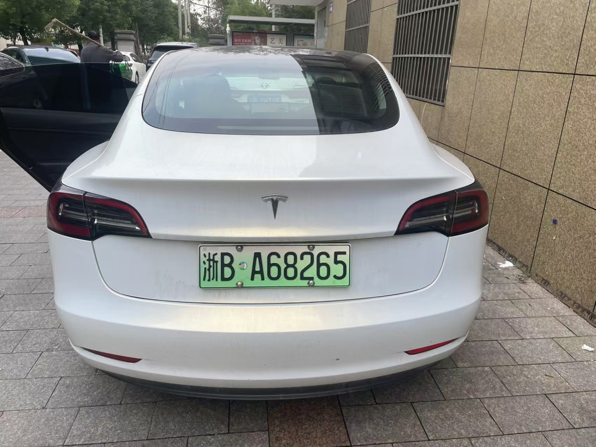 特斯拉 Model 3  2021款 標(biāo)準(zhǔn)續(xù)航后驅(qū)升級(jí)版 3D6圖片