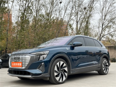 2022年10月 奧迪 奧迪Q5 e-tron 50 e-tron quattro 榮耀型 機(jī)甲套裝 逐日版圖片