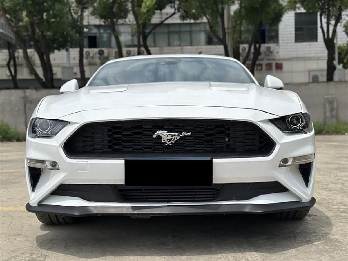 福特 Mustang  2021款 2.3L EcoBoost 黑曜魅影特別版圖片