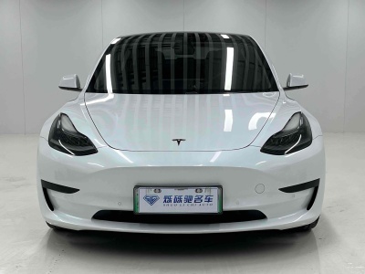 2021年1月 特斯拉 Model 3 標(biāo)準(zhǔn)續(xù)航后驅(qū)升級(jí)版 3D6圖片