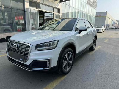 2021年1月 奧迪 奧迪SQ5(進口) 3.0 TFSI quattro圖片