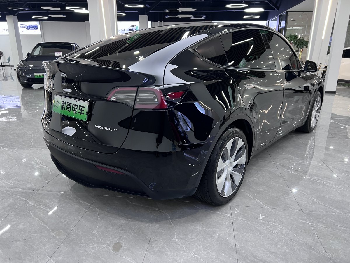 特斯拉 Model 3  2020款 改款 長續(xù)航后輪驅(qū)動版圖片