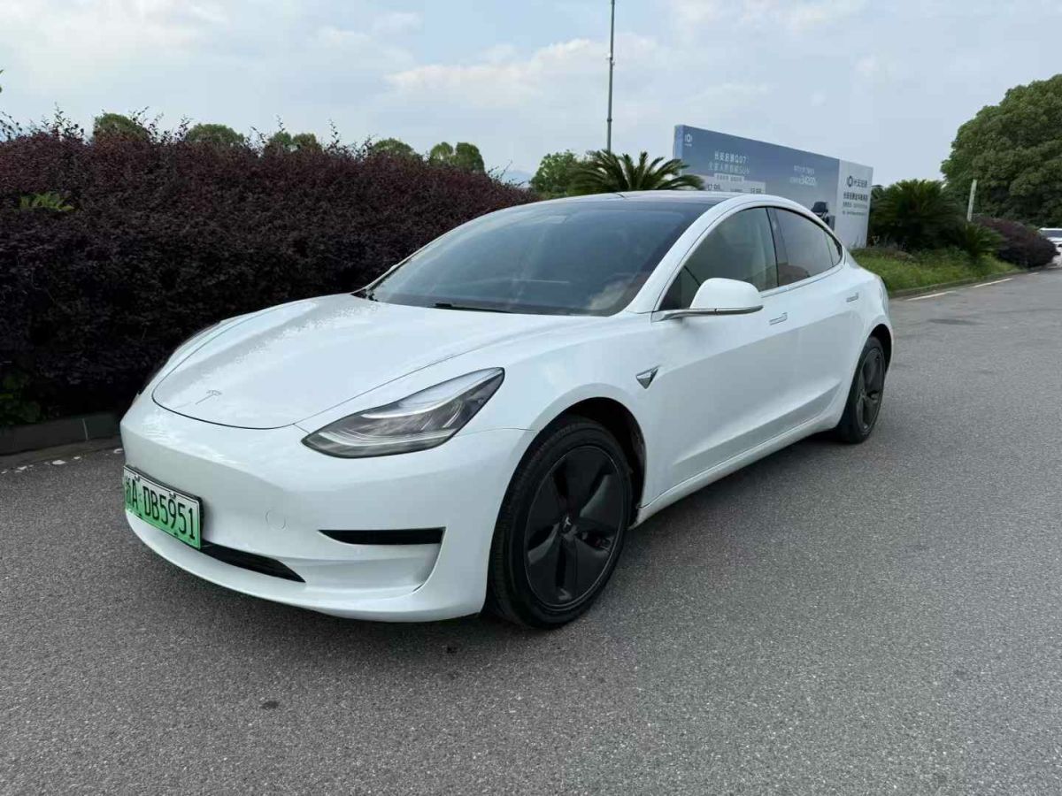特斯拉 Model X  2020款 Performance 高性能版圖片