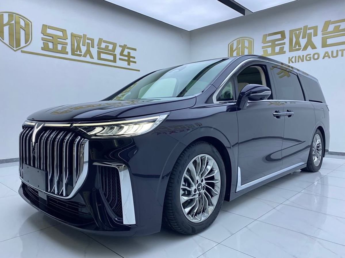 嵐圖 夢想家  2024款 PHEV 超長續(xù)航旗艦版圖片