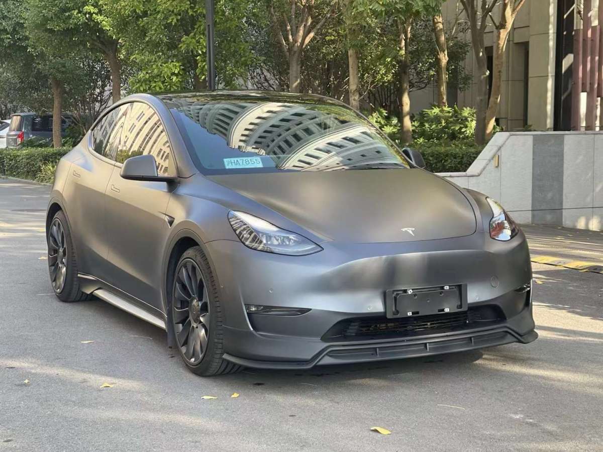 特斯拉 Model Y  2021款 Performance高性能全輪驅(qū)動版圖片