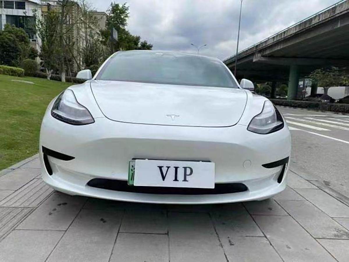 特斯拉 Model 3  2019款 標(biāo)準(zhǔn)續(xù)航后驅(qū)升級(jí)版圖片