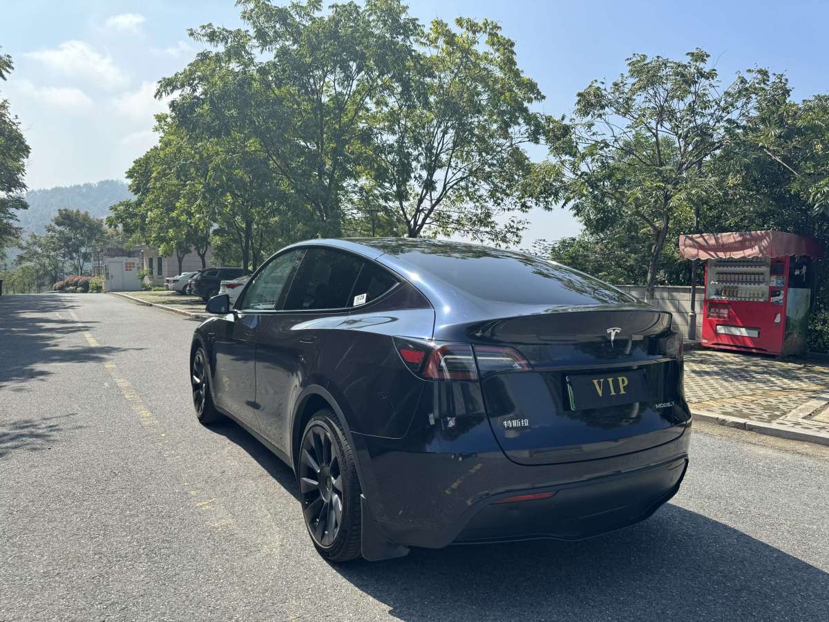 特斯拉 Model Y  2021款 改款 標準續(xù)航后驅升級版圖片