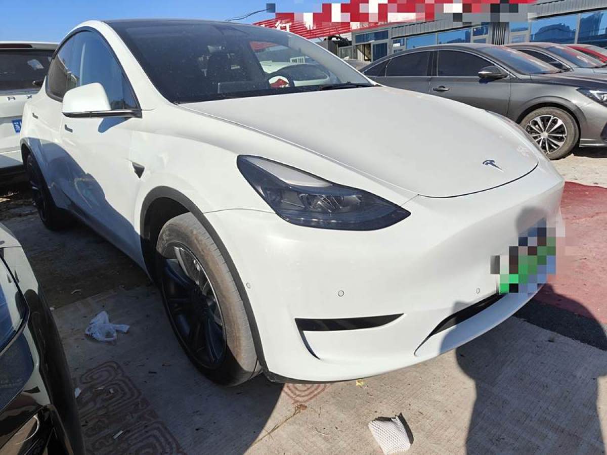 特斯拉 Model Y  2024款 長續(xù)航全輪驅(qū)動版圖片