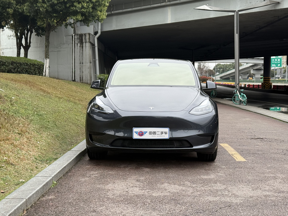 2024年4月特斯拉 Model 3  2020款 改款 長續(xù)航后輪驅(qū)動版