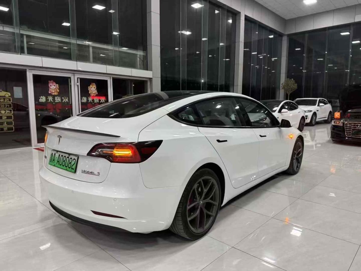特斯拉 Model S  2021款 Performance 高性能版圖片