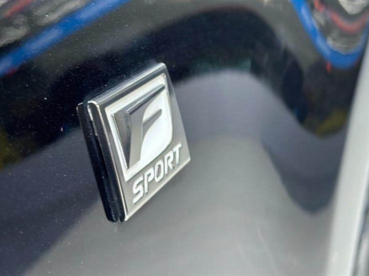 雷克薩斯 GS  2012款 250 F SPORT圖片