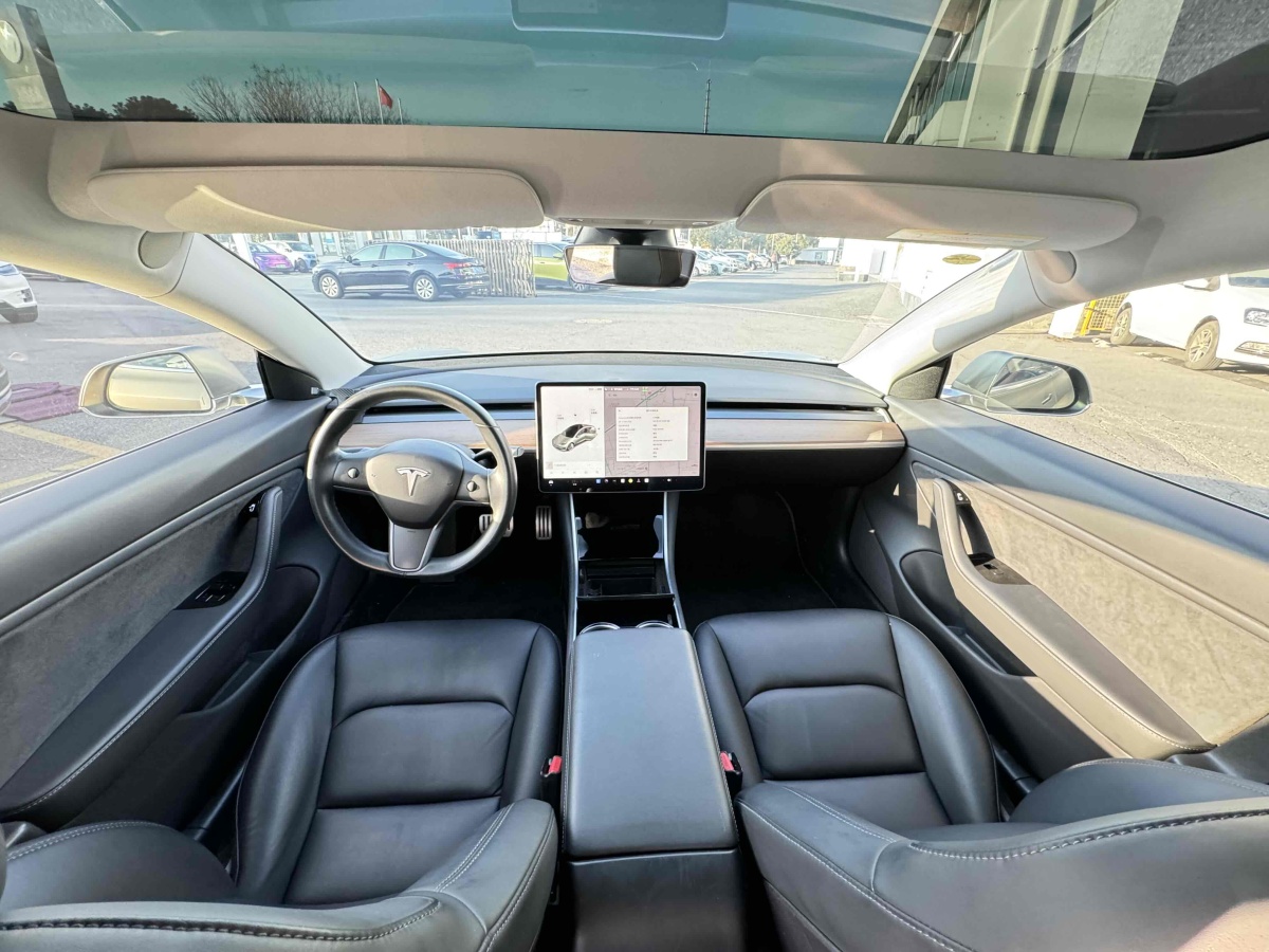 特斯拉 Model 3  2019款 Performance高性能全輪驅(qū)動(dòng)版圖片