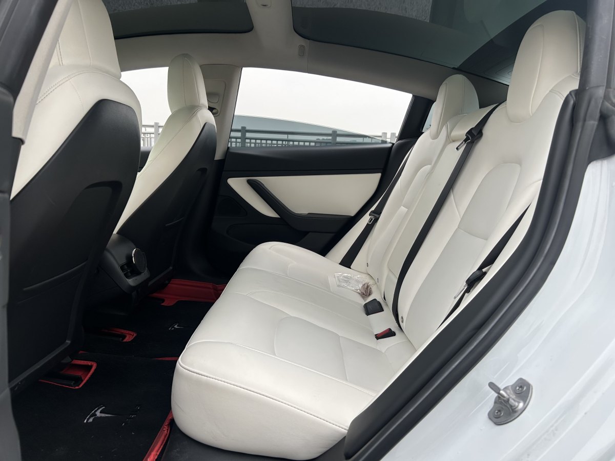 特斯拉 Model 3  2019款 標準續(xù)航后驅(qū)升級版圖片