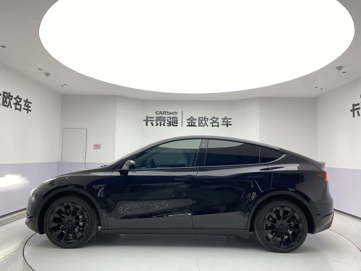 特斯拉 Model Y  2020款 改款 長(zhǎng)續(xù)航后輪驅(qū)動(dòng)版圖片