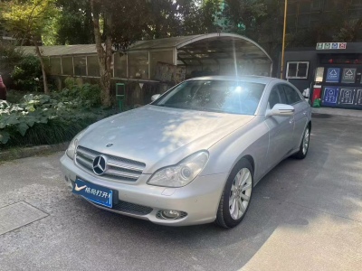 2010年11月 奔馳 奔馳CLS級(進口) CLS 300圖片