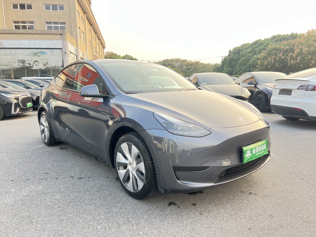 2022年9月特斯拉 Model Y  2022款 后輪驅(qū)動版