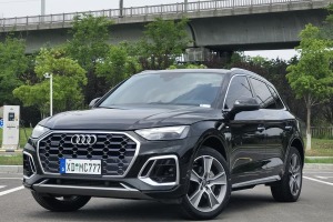 奧迪Q5L 奧迪 45 TFSI 豪華動(dòng)感型