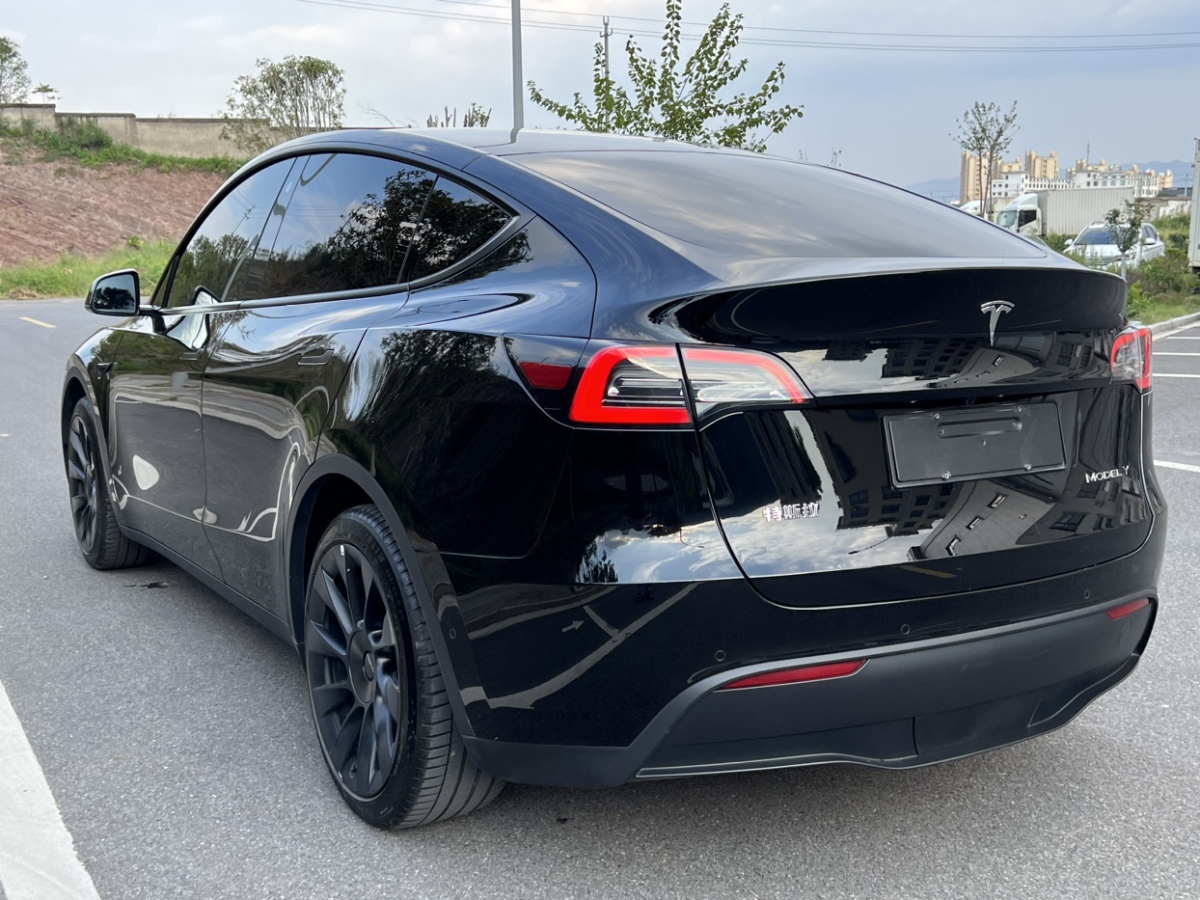 特斯拉 Model Y  2021款 改款 標(biāo)準(zhǔn)續(xù)航后驅(qū)升級(jí)版圖片