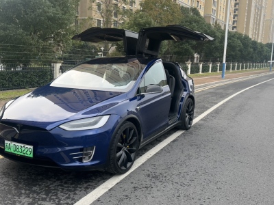 2018年07月 特斯拉 Model X Model X 75D圖片