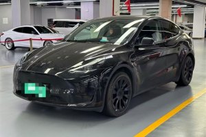 Model Y 特斯拉 后轮驱动版