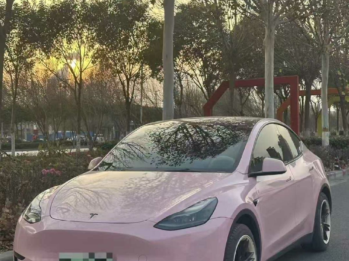 特斯拉 Model S  2023款 三電機(jī)全輪驅(qū)動(dòng) Plaid版圖片