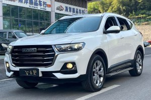H6 哈弗 國潮版 1.5T 自動冠軍版
