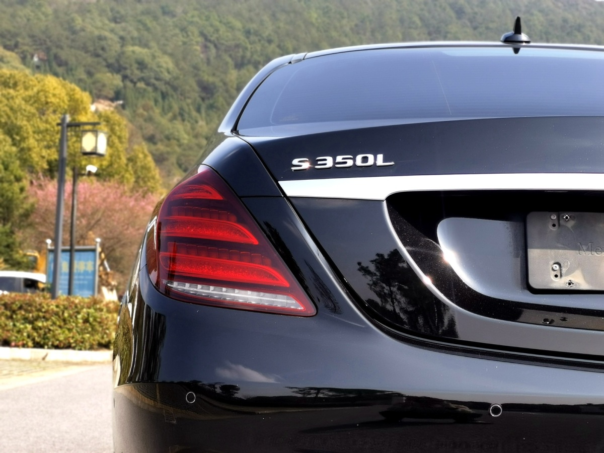 奔馳S級 2020款 S 350 L 商務型 臻藏版圖片