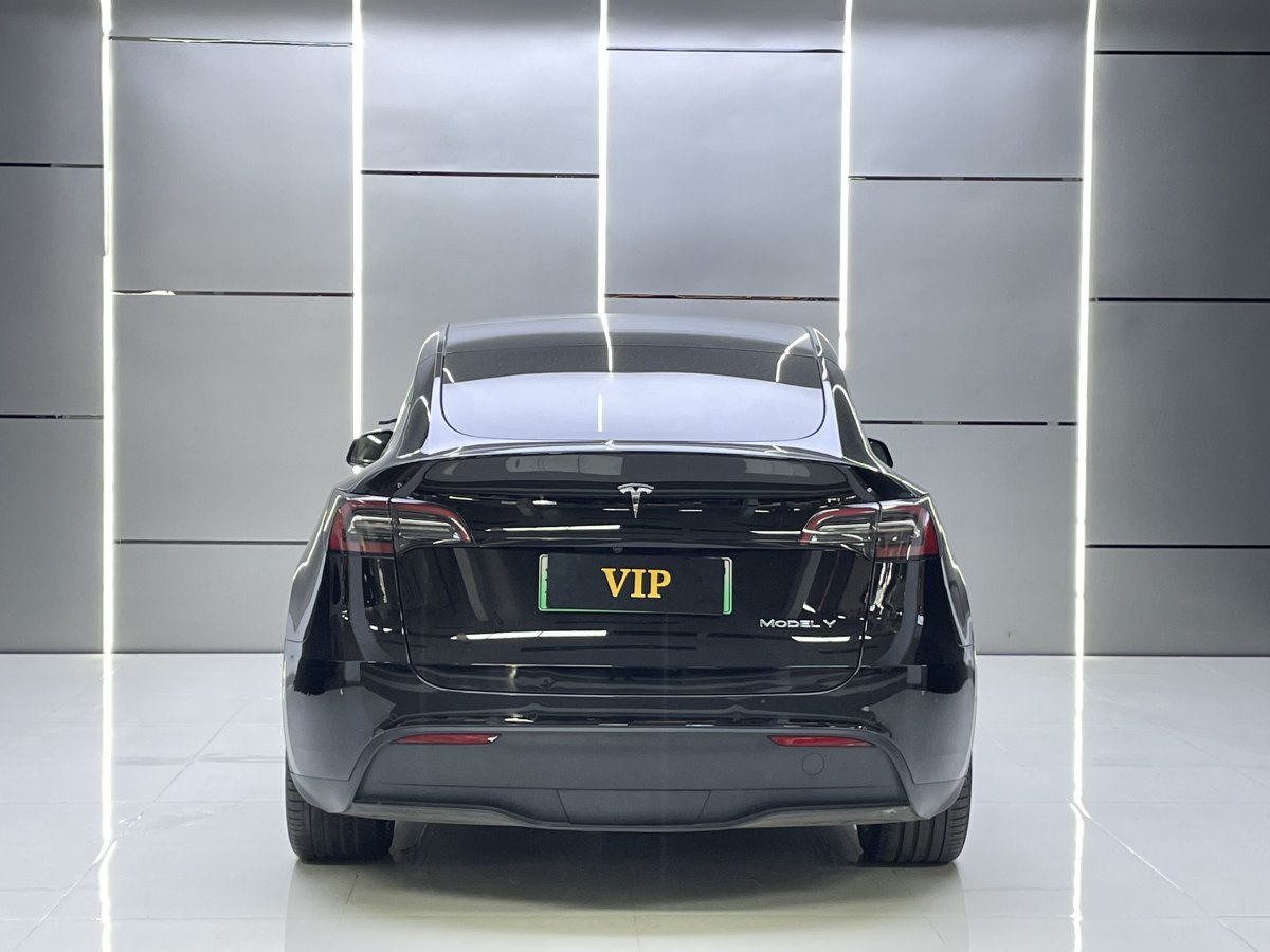 特斯拉 Model Y  2020款 改款 長(zhǎng)續(xù)航后輪驅(qū)動(dòng)版圖片