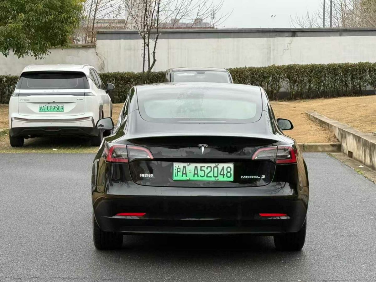 特斯拉 Model 3  2022款 Performance高性能全輪驅(qū)動(dòng)版圖片