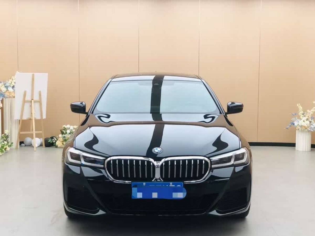 寶馬 寶馬5系  2021款 530Li 領(lǐng)先型 M運動套裝圖片