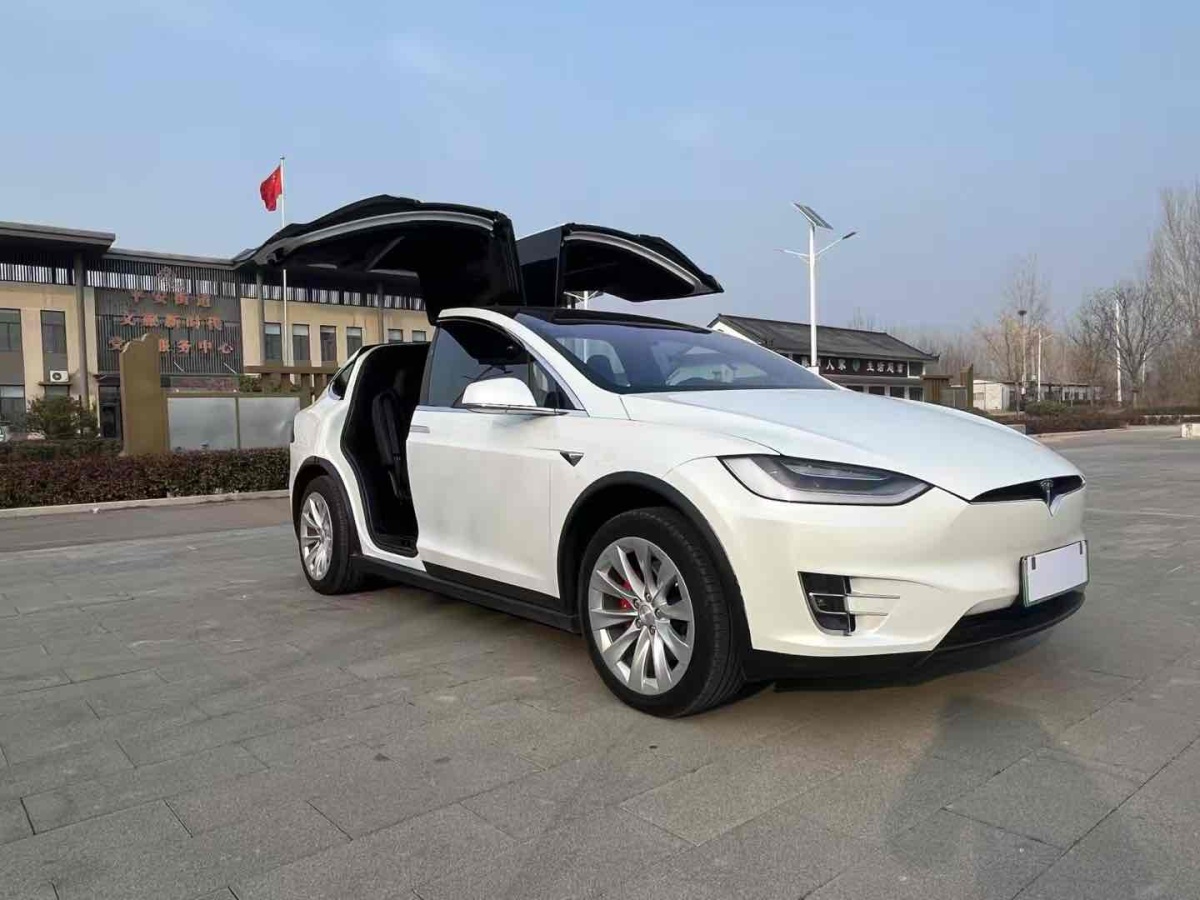 特斯拉 Model X  2019款 Performance 高性能版圖片