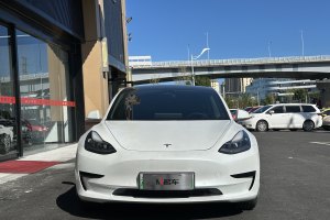 Model 3 特斯拉 标准续航后驱升级版