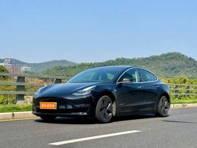 2019年10月 特斯拉 Model 3 長(zhǎng)續(xù)航后驅(qū)版圖片