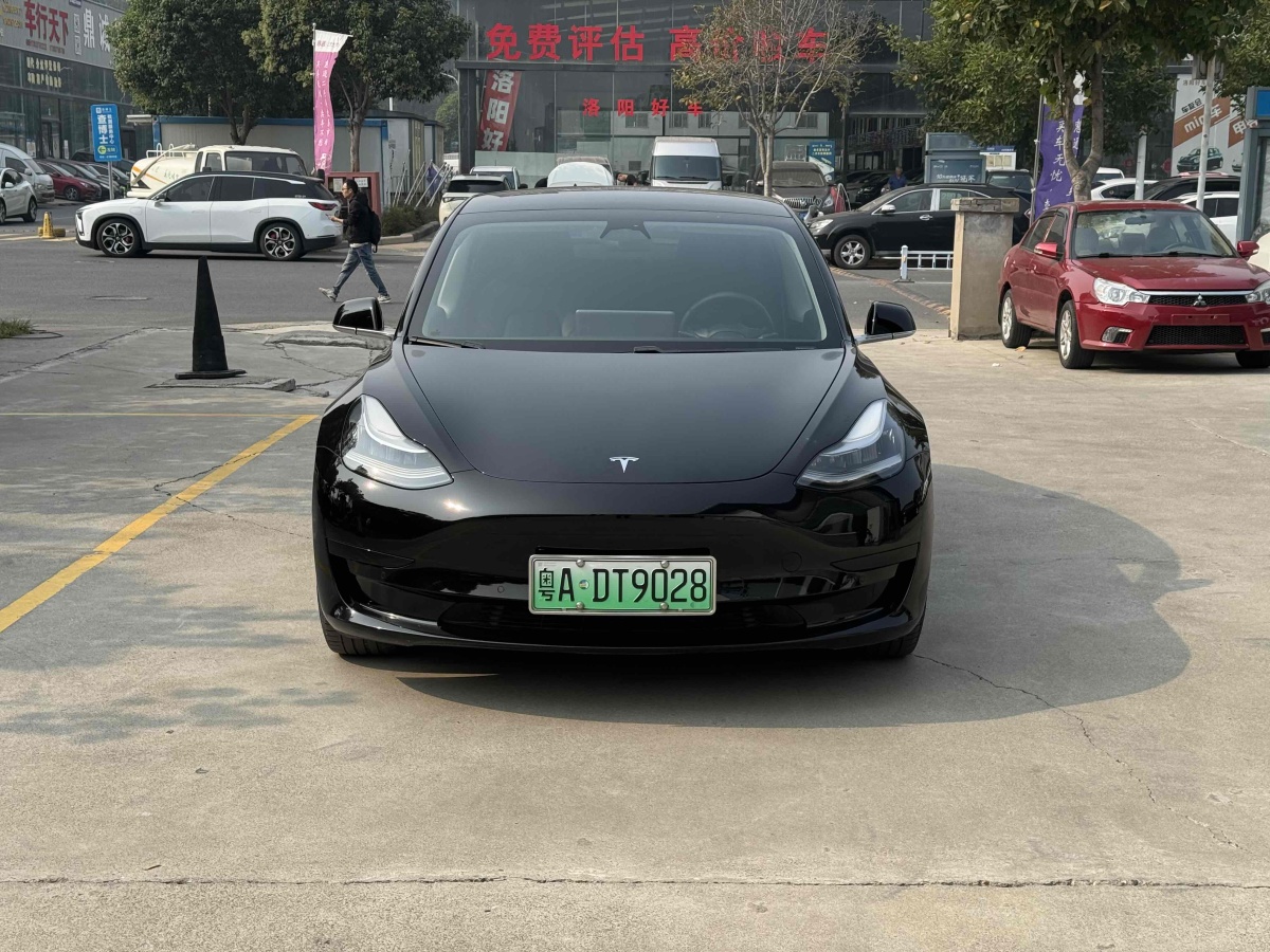 特斯拉 Model 3  2019款 标准续航后驱升级版图片