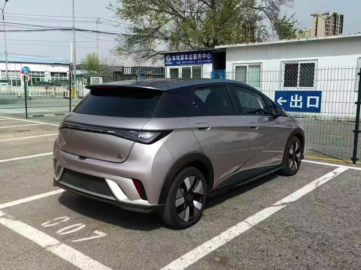 比亞迪 海豚  2023款 401km 騎士版圖片