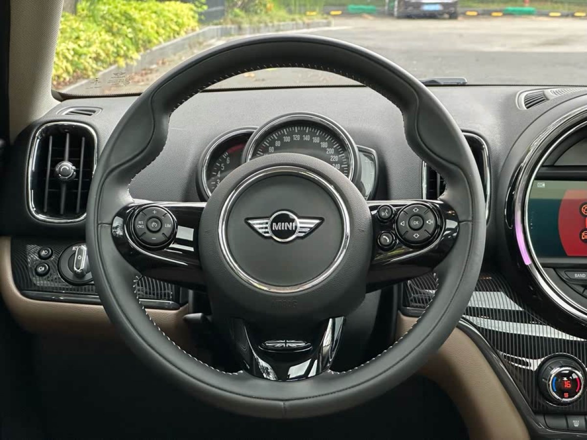 MINI COUNTRYMAN  2018款 2.0T COOPER S ALL4 藝術(shù)家圖片