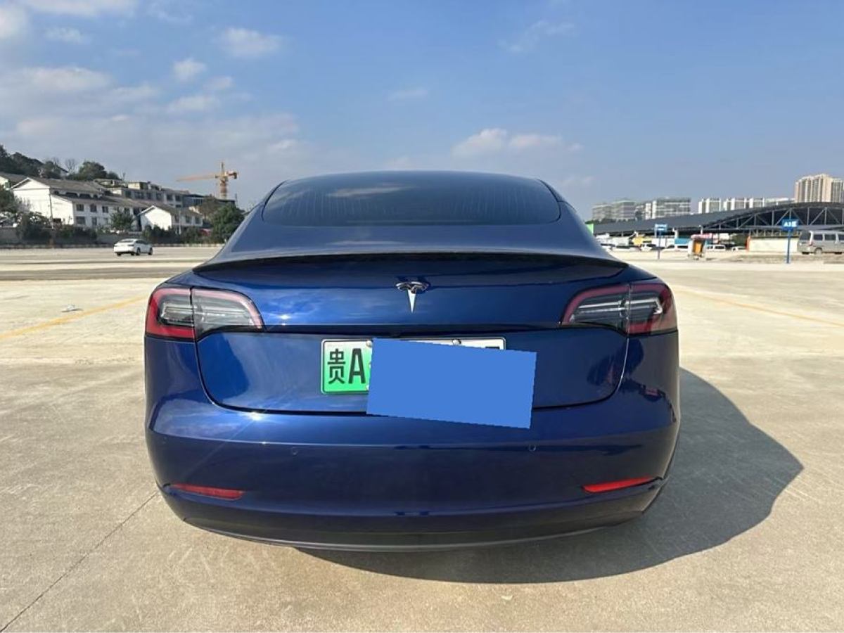 特斯拉 Model 3  2019款 長續(xù)航后驅(qū)版圖片