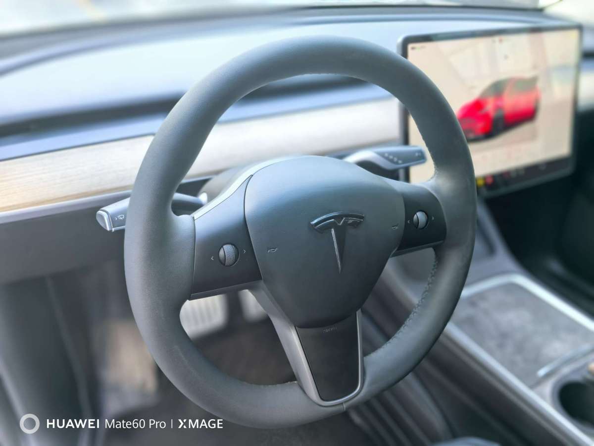 特斯拉 Model Y  2022款 Performance高性能全輪驅(qū)動版圖片