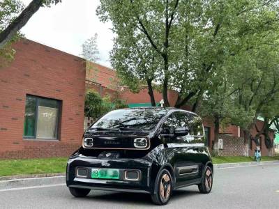 2022年3月 寶駿 寶駿KiWi EV 藝術(shù)家輕享版 三元鋰圖片