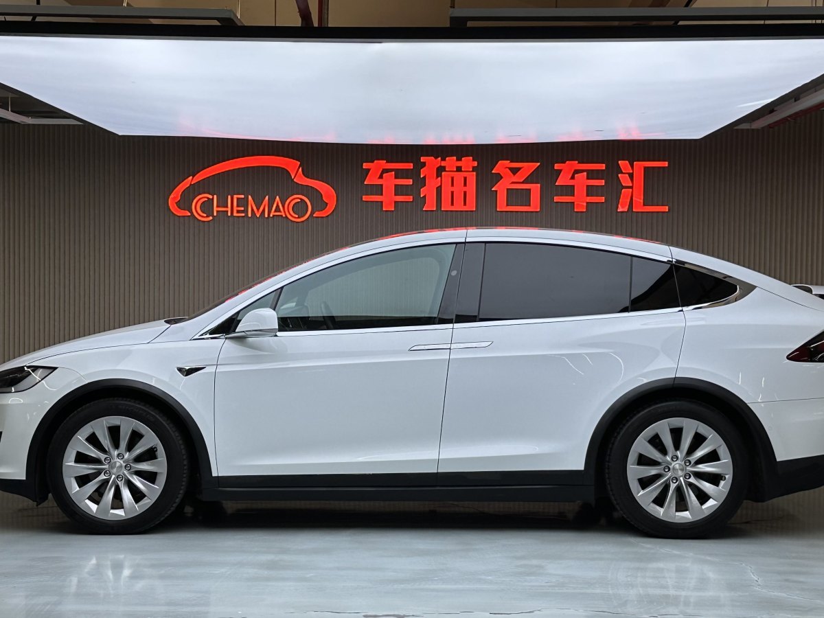 特斯拉 Model X  2016款 Model X 75D圖片