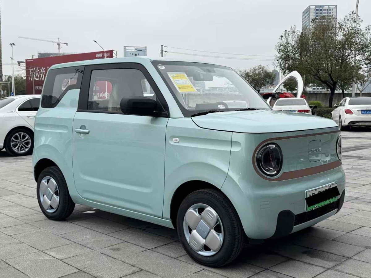 2024年12月吉利 熊貓mini  2023款 200km 耐力熊