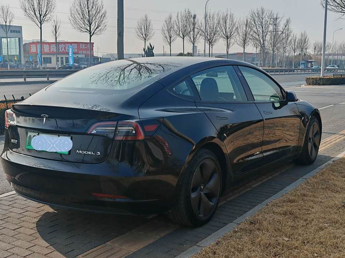 2021年3月特斯拉 Model 3  2021款 改款 標準續(xù)航后驅(qū)升級版