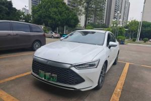 秦PLUS 比亞迪 冠軍版 EV 420KM超越型