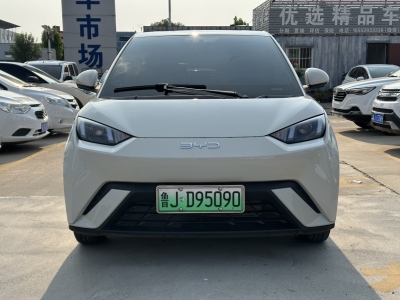 2024年07月 比亞迪 海鷗 榮耀版 305km 活力版圖片