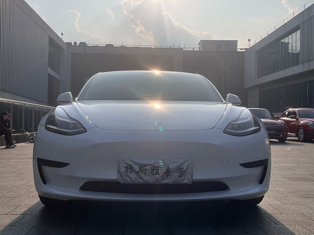 2020年10月特斯拉 Model Y  2020款 改款 標(biāo)準(zhǔn)續(xù)航后驅(qū)升級(jí)版