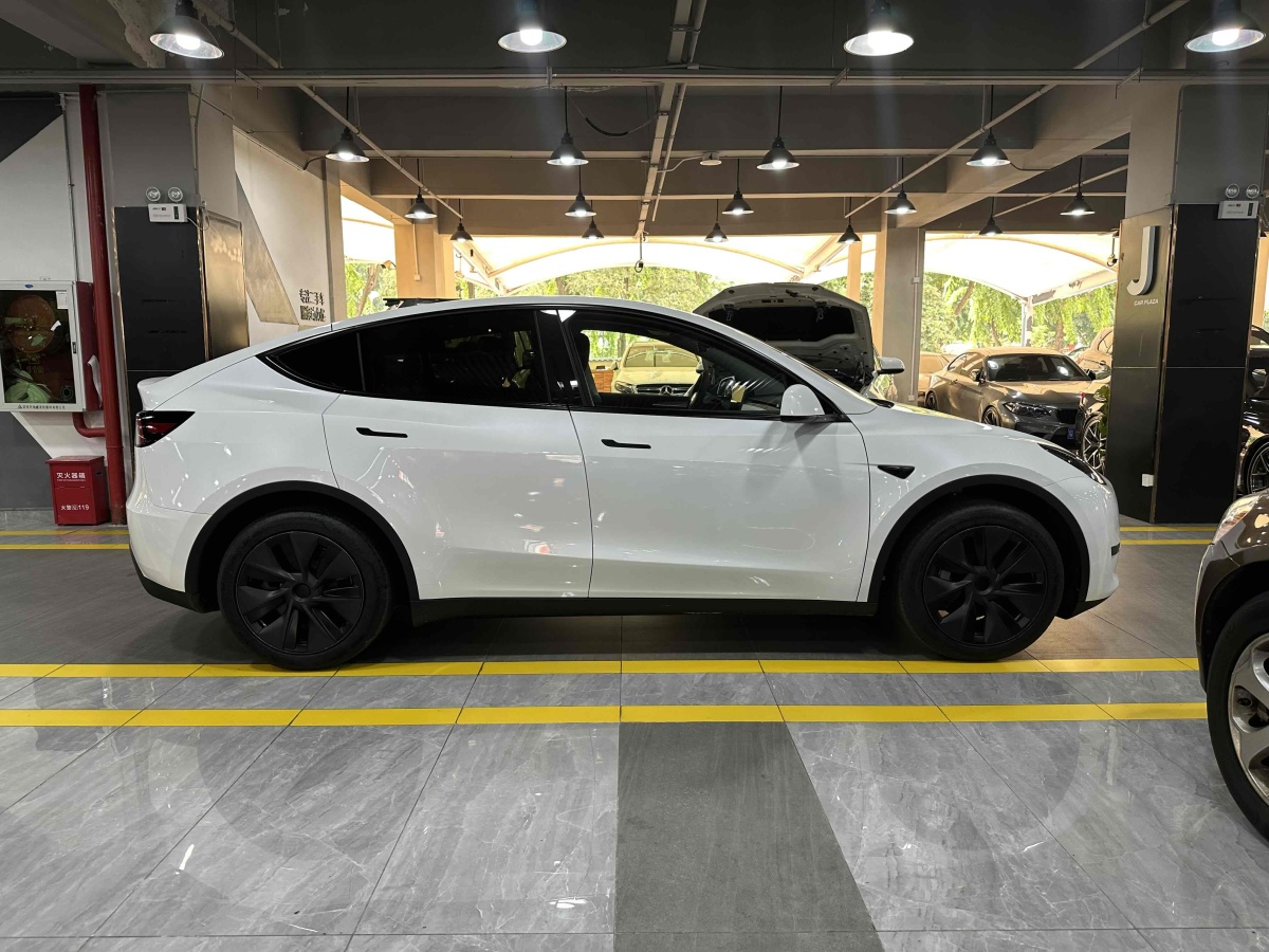 特斯拉 Model Y  2020款 改款 長續(xù)航后輪驅(qū)動版圖片