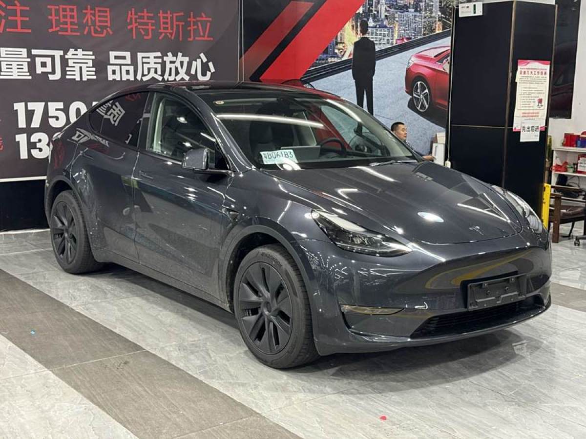 特斯拉 Model Y  2024款 長續(xù)航全輪驅(qū)動版圖片