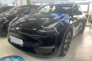 Model Y 特斯拉 標(biāo)準(zhǔn)續(xù)航后驅(qū)版